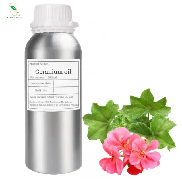 Großhandel organisches Geranium Ätherisches Öl 15 ml 100 % therapeutische Qualität für den täglichen Gebrauch mit MSDS-Zertifizierung
