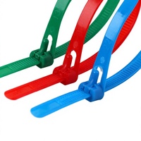 Collier de serrage double ligne en PVC, finition unie, réglable, personnalisable OEM, diamètre intérieur 29 mm, pour l'industrie lourde et l'exploitation minière