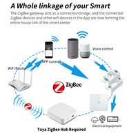 Interrupteur intelligent sans fil SIXWGH Zigbee 2 Gang avec clavier de commande tactile pour éclairage intelligent Alexa Google Assistant Google