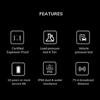 OEM Smart IoT Rtls Extérieur Étanche Ip68 Ble 5.0 Localisateur Ibeacon Tag Proximity Bluetooth Beacon Beacon Pour Parkings
