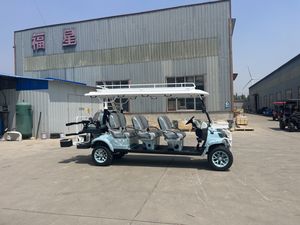 WELIFTRICH <b>2</b>+<b>2</b> Seater Electric Golf Cart with 5kw Motor 4 <b>Passenger</b> Steel Electric Carts - Product Image 3