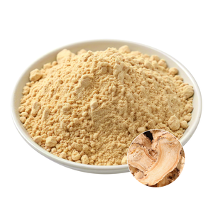 Angélica <span class=keywords><strong>Root</strong></span> Extract Bulk Powder Vegan Amigável e Non-GMO ingrediente dietético - Product Image 1