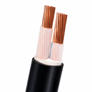 Qifan สายไฟฟ้าแรงต่ำ600V 1000V สายเคเบิลสองแกน XLPE <span class=keywords><strong>VV</strong></span> PVC สำหรับคอมพิวเตอร์อุตสาหกรรมก่อสร้างทางทะเล - Product Image 2