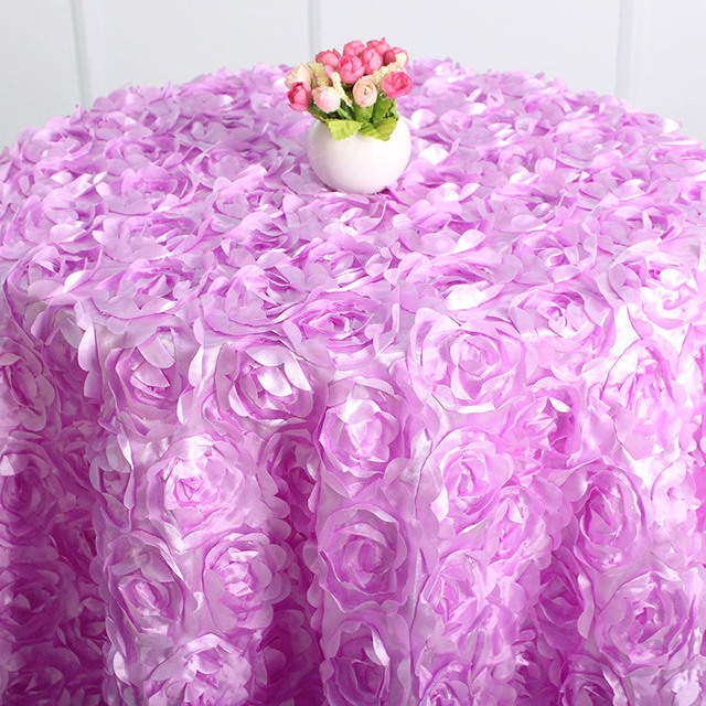 Rosa rosa