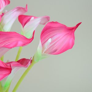 Fleurs artificielles communes <span class=keywords><strong>Callalily</strong></span> prix d'usine EVA courte tige unique mariage salon Festival décoration fausse fleur - Product Image 4