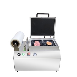 DQ240VST-máquina de envasado de alimentos al vacío, sellador manual de tazas para alimentos congelados, embalaje de carne, bandeja para la piel - Product Image 3