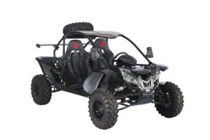 Kart tout-terrain certifié EPA/EEC, buggy tout-terrain 4x4 Renli 500cc économique pour adultes - Product Image 2