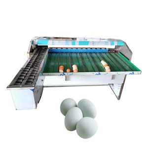 Automatic Eggs Grading Machine Chicken Egg Grading Machine Automatic Stainless Steel Egg Sorting and Grading Machine - Product Image 1