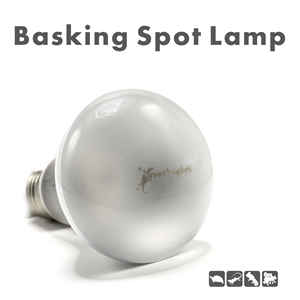 Lámpara <span class=keywords><strong>de</strong></span> Calor para Reptiles, Tortugas y Lagartos, Bombilla para Terrario, Conservación Térmica, Ideal para Dragones Barbudos - Product Image 2