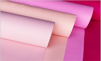 Tapis jetables intérieurs/extérieurs en polyester non tissé, réversibles, avec envers en peluche et latex, pour la prière et l'usage domestique