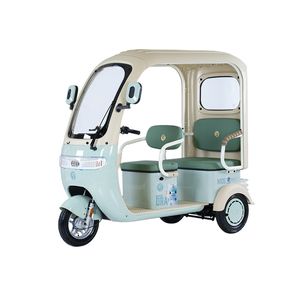 Triciclo Familiar de Tres Ruedas con Opciones de Color Personalizables y Techo, Capacidad para Pasajeros, Capacidad para Acomodar Cómodamente hasta 2 Pasajeros - Product Image 1