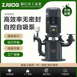 Wfb Seal Less Self Priming Pump Cast <b>Iron</b> Body High Flow High Head Electric Motor Sewage Pump - Product Image 3