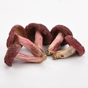 Recipiente para almacenamiento de setas, estante de peso de Color marrón, alto contenido nutritivo, antidulce, Color Morel, 2020 - Product Image 4