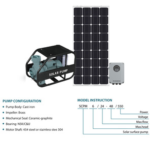Pompe à eau solaire centrifuge Grandfar 750W 1 à haut débit, personnalisée, 16m de hauteur de refoulement, 72V pour irrigation SCPM21/16-72/750 - Product Image 4