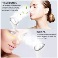 Nano Face Steamer Vaporizador facial Salón de belleza Vaporizador facial profesional con calentador de toallas