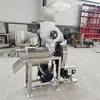 Industriële Ui Wortel Gember Juicer Extractor Crusher Commerciële Apple Ananas Citroensap Maken Machine