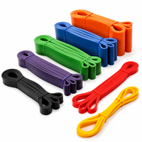 Bandes de Résistance pour Tractions Assistées Sans Élastiques, Tractions et Dips, Entraînement de Tractions Modifiées avec Bandes, OEM