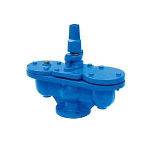 Válvula de Aire Automática de Doble Orificio de Hierro Dúctil PN16 - Product Image 5
