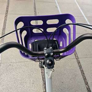 Vélos électriques <span class=keywords><strong>Nexus</strong></span> EB5018E à <span class=keywords><strong>3</strong></span> <span class=keywords><strong>vitesses</strong></span>, 36V 250W, pour loisirs, courses et exercices, avec panier avant en plastique - Product Image 4