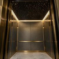 Panneau de plafond de cabine d'ascenseur design moderne, facile à nettoyer, en acier inoxydable pour villa