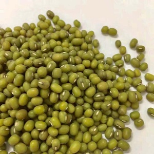 Commercio All'ingrosso di massa di Semi di Fagioli Mung Verde - Product Image 6