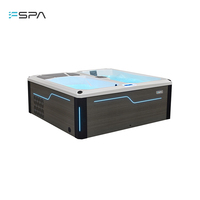 Promotion : Spa froid autoportant à double zone chaud/froid avec système de filtration et éclairage LED