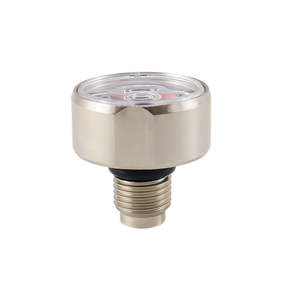 Manomètre spécial pour extincteur, manomètre à <span class=keywords><strong>double</strong></span> aiguille, manomètre pour siphon - Product Image 2