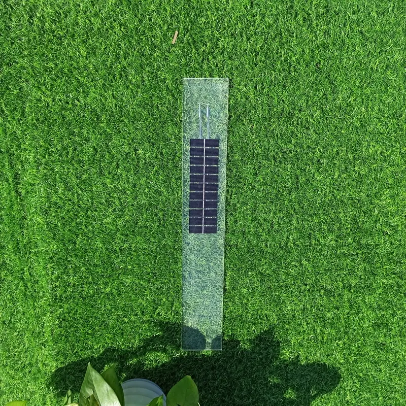 الصين الكريستالات لوحة شمسية شفافة سعر 5.5V البسيطة ضيق طويل الزجاج بولي الضوئية وحدات فولتضوئيّة 2W الألواح الشمسية