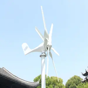 중국 공장 800w 12v 24v 48v 가정용 휴대용 풍력 터빈 소형 풍력 발전기 가정용 6 나일론 섬유 블레이드