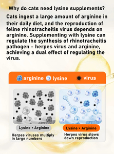 Dán Lysine giúp giảm bớt sự suy giảm miễn dịch liên quan đến viêm mũi họng do virus - Product Image 2