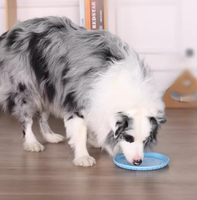 Disque volant pour animaux de compagnie en TPR souple, jouet d'entraînement extérieur pour chiens, idéal pour la mastication, le jeu et l'exercice – Fournisseur direct usine