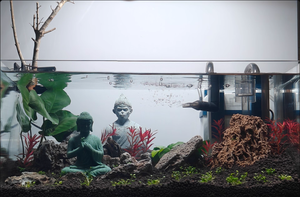 Statua Paesaggistica Drago Divino Acquatico per <span class=keywords><strong>Acquario</strong></span>, Scultura in Pietra, Pietra Verde, Bonsai, Micro Paesaggio, Accessori per Acquari - Product Image 3