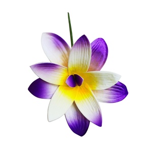 Hawaiano floral accesorios <span class=keywords><strong>para</strong></span> el cabello flor de la orquídea <span class=keywords><strong>pelo</strong></span> artificial de la flor de espuma <span class=keywords><strong>pelo</strong></span> - Product Image 4