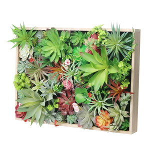 Jardín Vertical Artificial de Suculentas, Kit de Arte para Pared, Marco de Madera, <span class=keywords><strong>Plantas</strong></span> Realistas, Decoración Botánica para Colgar en la Pared, Greatflower - Product Image 1