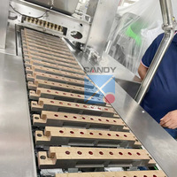 Offre Spéciale ligne de production de bonbons gommeux doux de petite capacité entièrement automatique ours bonbons gommeux faisant la machine