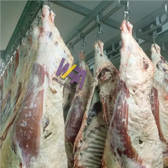 Equipo de procesamiento de carne de vacuno, para mataderos de vaca, máquina de matadero Halal