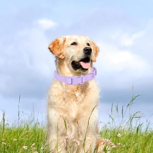 Waterdichte Roestvrije Plastic Pvc <span class=keywords><strong>Rubber</strong></span> Wasbare Quick Release Gesp Buiten Hond Puppy Kraag - Product Image 2