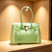 Nouveau Sac à Main Transparent en TPU 2026 pour Femme – Sac Bandoulière Tendance Effet Croco Polyvalent et Stylé