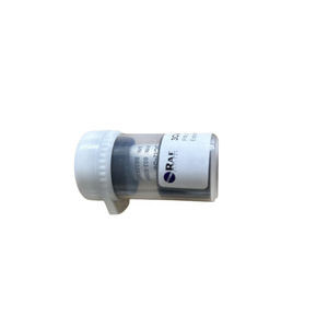 เซ็นเซอร์ตรวจจับก๊าซคลอรีน CL2 032-0208-000 สำหรับ BW QRAE 3 PGM-2560 ซีรีส์ อุปกรณ์เสริมสำหรับการตรวจจับการรั่วไหล - Product Image 3