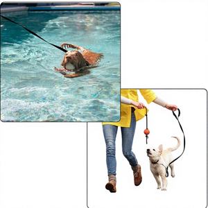 Correa de Adiestramiento para Perros, 1.5 Metros de Largo, Resistente, para Seguimiento, Paseo y Recuerdo, Reino Unido - Product Image 1