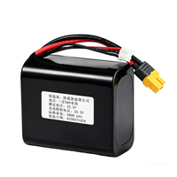 Batterie 21700 24V 5Ah à semi-conducteurs pour drone FPV, connecteur XT60, sangle de fixation sécurisée, montable, 1000 cycles pour alimentation électrique