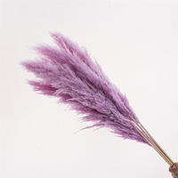 Vente d'usine : Grandes herbes de la pampa séchées naturelles et moelleuses, 100-140 cm, pour décoration de mariage – Blanc, Beige, Rose