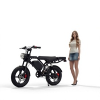 Sepeda Listrik Kota 48 V 750 W Ban Tebal 20 Inci Motor Hub Belakang Tanpa Sikat Rem Cakram Baterai Lepas Pasang