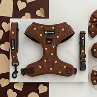 Harnais réglable pour animaux de compagnie brodé sur mesure en usine, laisse anti-traction pour chien, collier et laisse pour animaux de compagnie, ensemble de gilet-harnais de luxe pour chien