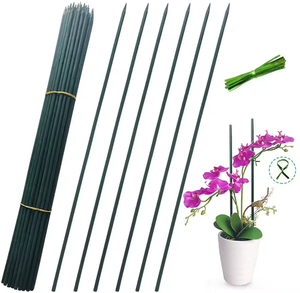 Modern Bamboo Plant Support Rod Natural Green Black Blue Brown Plant Care Garden Supplies