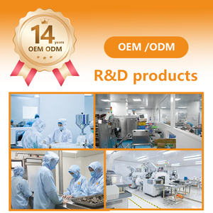 OEM Private Label foglia di tarassaco e radice di tè per la funzione renale supporto e la digestione sana - Product Image 6