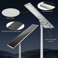 Lampadaire Solaire Intelligent WERISE à LED IP65 pour Éclairage Extérieur, avec Contrôle AI et Charge MPPT, Idéal pour Projets Routiers