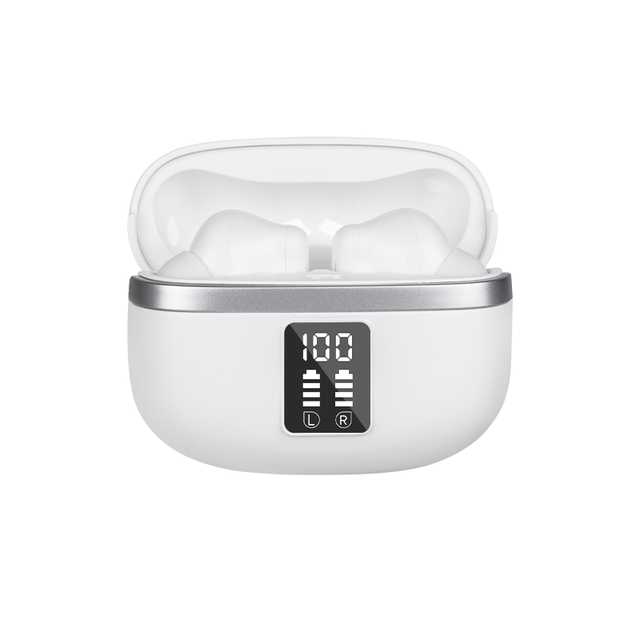 Noise Cancelling Earbuds High Quality Earbuds Type c Earphone Anc Enc Earbuds
