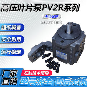 Pompes hydrauliques à palettes haute pression série PV2R, accessoires pour unités hydrauliques, pompes à palettes série PV2R2 - Product Image 4