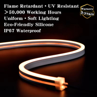 Muestra Gratuita de Luz de Neón de Alta Calidad con Certificación UL, CE, RoHS, Tira de Luz LED de Neón Flexible Blanca de 24V 12V Personalizable de Silicona